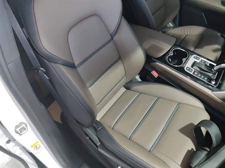 BYD Tang 2021 2021款 2.0T 自动旗舰型