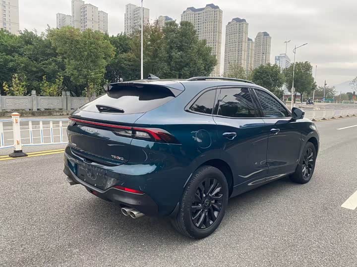 Dongfeng Forthing T5 EVO 2021 2021款 1.5TD DCT星耀版