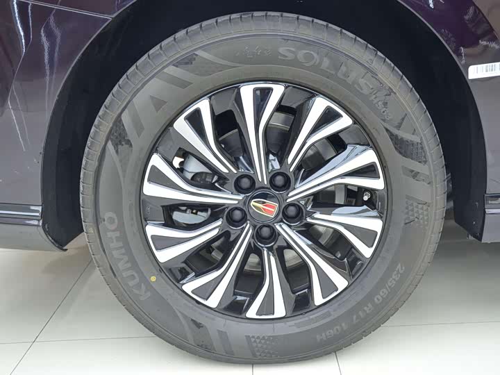 Hongqi HQ9 Hybrid 2024 2024款 2.0T 四驱商务版