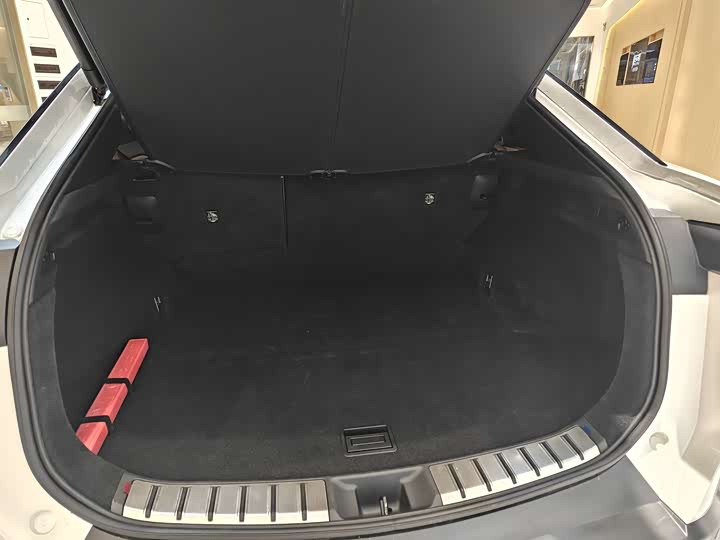 Lexus RZ 2023 2023款 450e 四驱纵享版