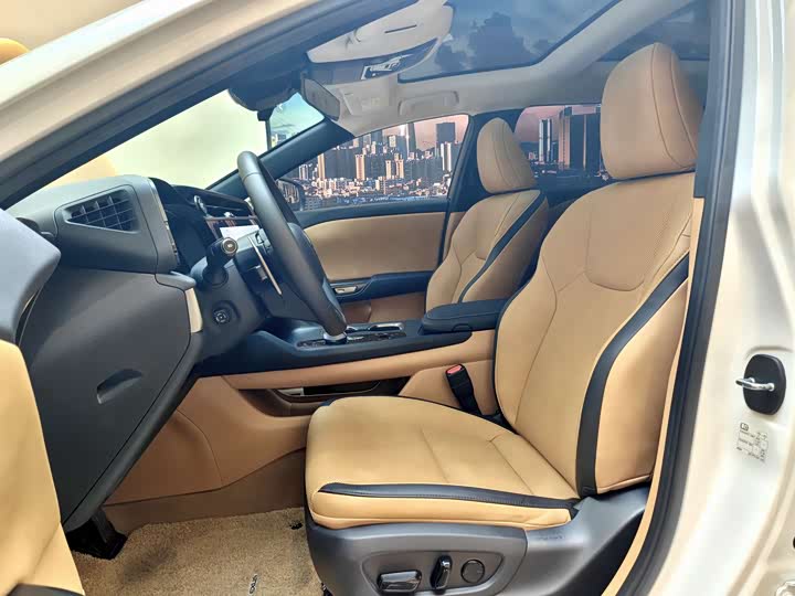 Lexus RZ 2023 2023款 450e 四驱纵享版