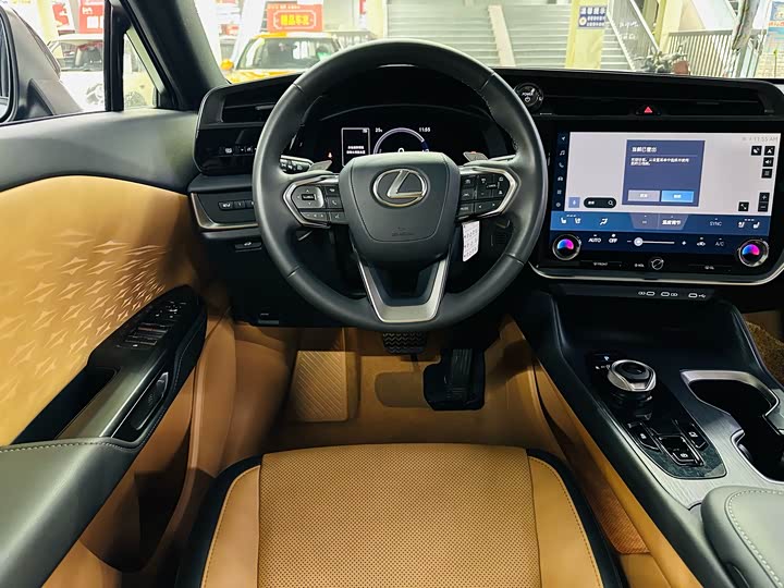 Lexus RZ 2023 2023款 450e 四驱纵享版