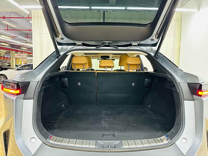 Lexus RZ 2023 2023款 450e 四驱纵享版