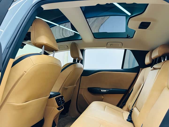 Lexus RZ 2023 2023款 450e 四驱纵享版