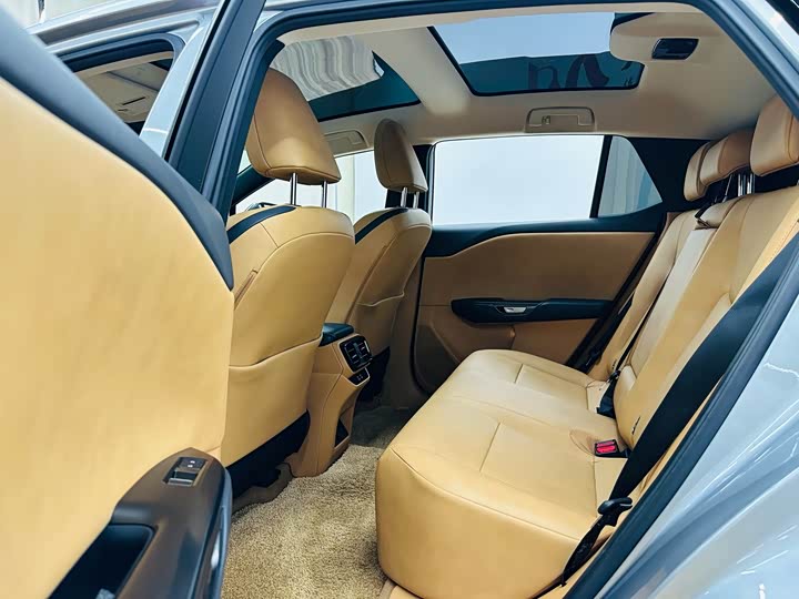 Lexus RZ 2023 2023款 450e 四驱纵享版