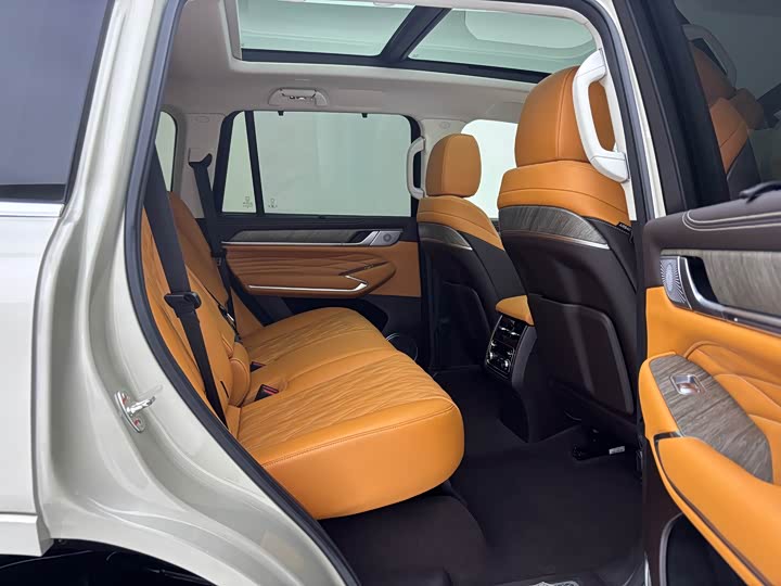 Tank 500 Hybrid 2025 2025款 Hi4-Z