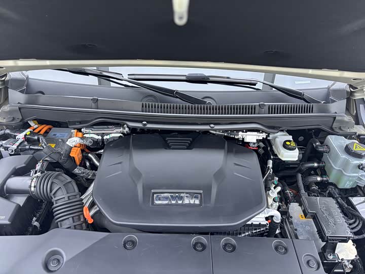 Tank 500 Hybrid 2025 2025款 Hi4-Z