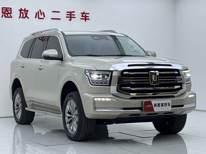 Tank 500 Hybrid 2025 2025款 Hi4-Z