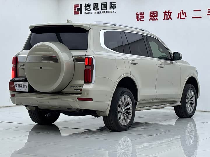 Tank 500 Hybrid 2025 2025款 Hi4-Z