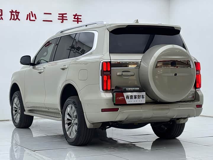 Tank 500 Hybrid 2025 2025款 Hi4-Z