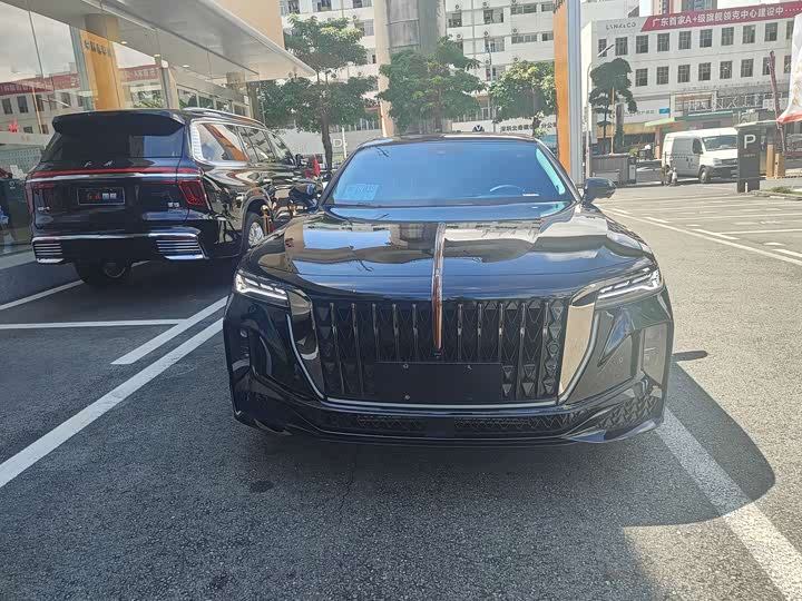 Hongqi H9 2024 2024款 2.0T 旗享 私享风尚版