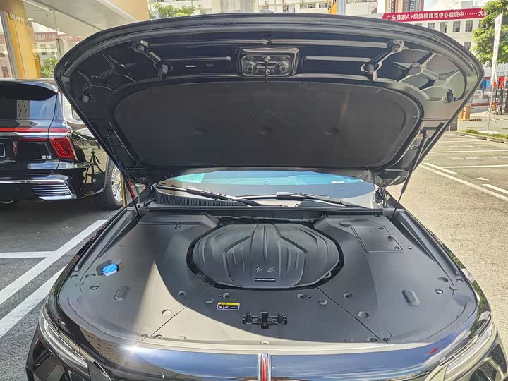 Hongqi H9 2024 2024款 2.0T 旗享 私享风尚版