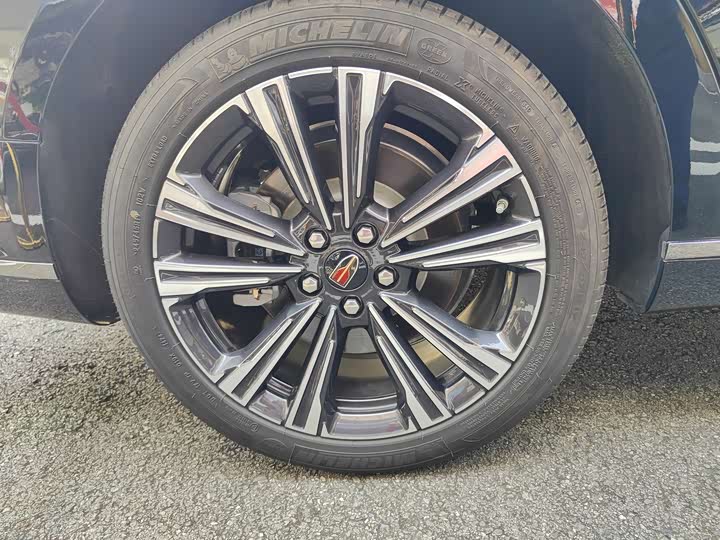 Hongqi H9 2024 2024款 2.0T 旗享 私享风尚版