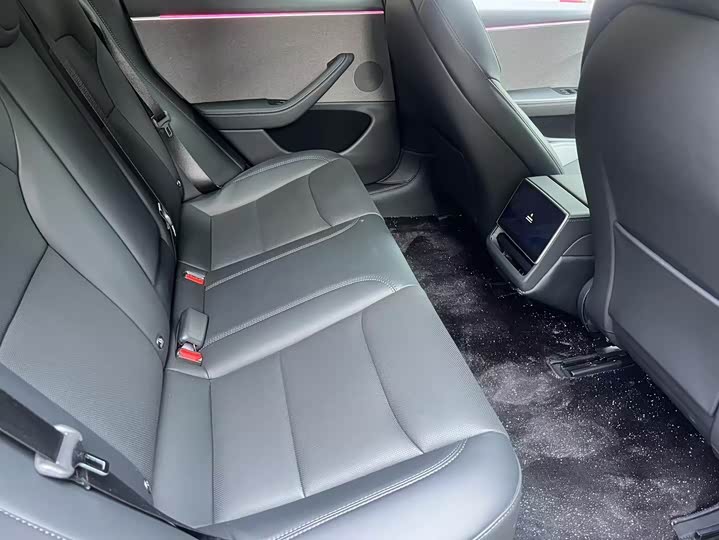 Tesla Model 3 2023 2023款 后轮驱动版