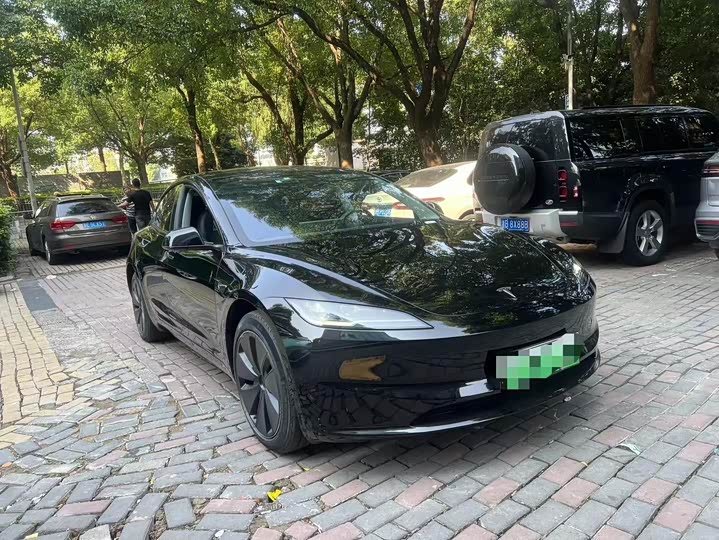 Tesla Model 3 2023 2023款 后轮驱动版