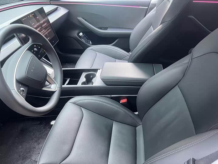 Tesla Model 3 2023 2023款 后轮驱动版