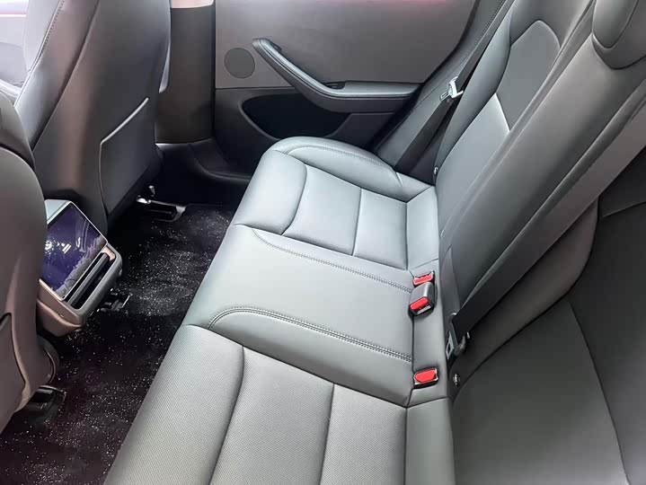 Tesla Model 3 2023 2023款 后轮驱动版