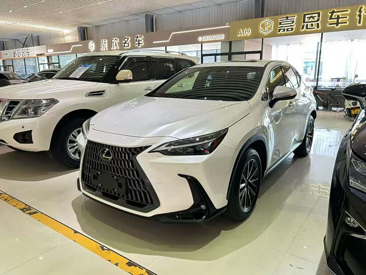 Lexus NX 2023 2023款 260 前驱 创悦版