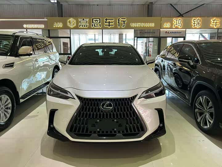 Lexus NX 2023 2023款 260 前驱 创悦版