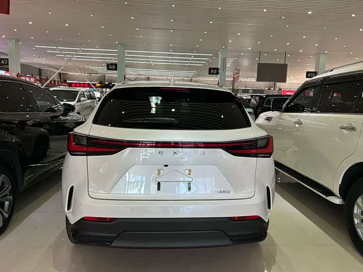 Lexus NX 2023 2023款 260 前驱 创悦版