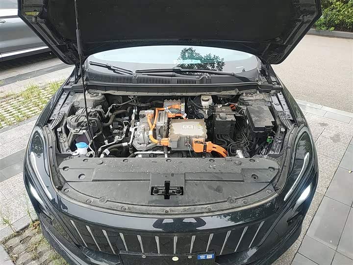Hongqi E-QM5 2024 2024款 610km PLUS