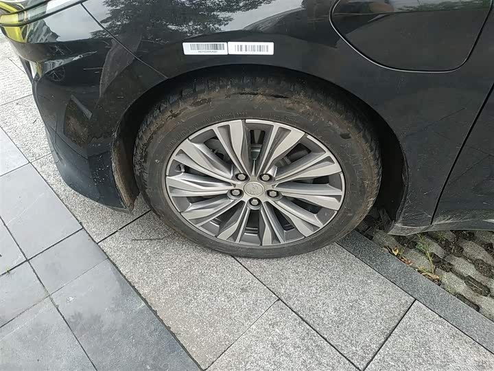 Hongqi E-QM5 2024 2024款 610km PLUS