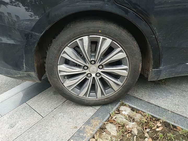 Hongqi E-QM5 2024 2024款 610km PLUS