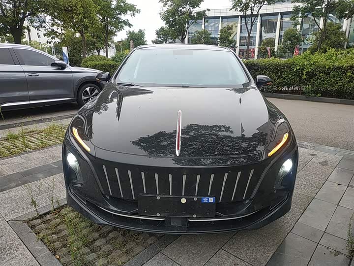 Hongqi E-QM5 2024 2024款 610km PLUS