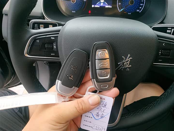 Hongqi E-QM5 2024 2024款 610km PLUS