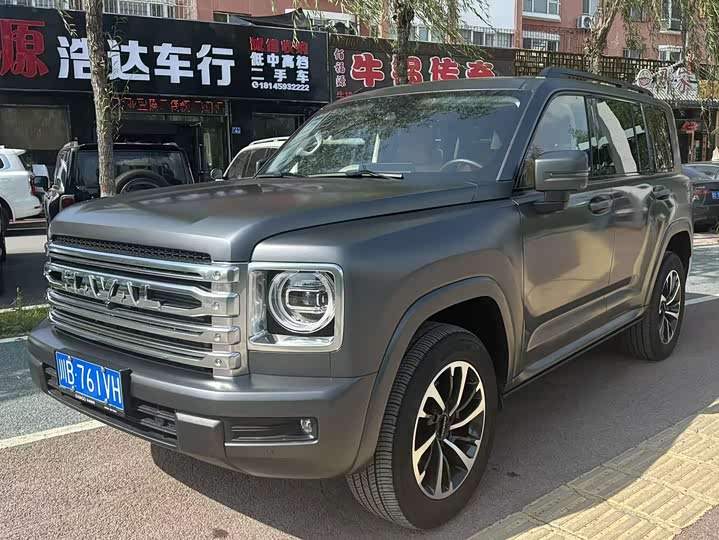 Haval H9 2024 2024款 2.0T 汽油四驱极境版