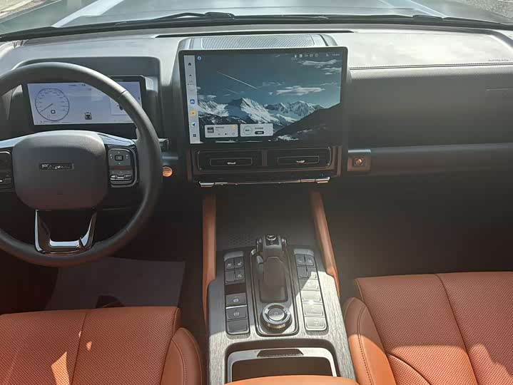 Haval H9 2024 2024款 2.0T 汽油四驱极境版