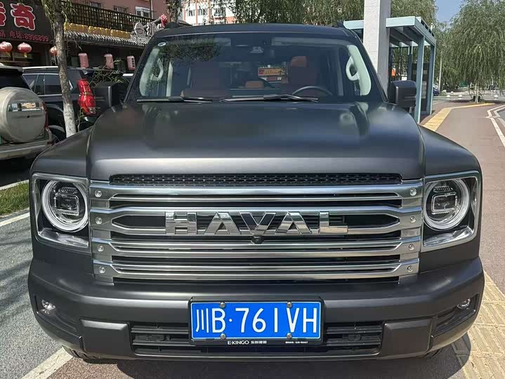 Haval H9 2024 2024款 2.0T 汽油四驱极境版