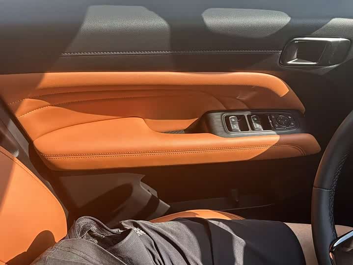 Haval H9 2024 2024款 2.0T 汽油四驱极境版