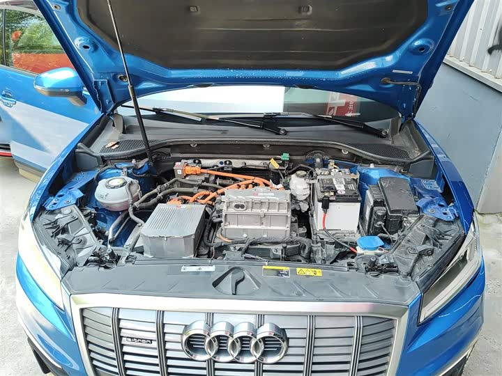 Audi Q2L e-tron 2019 2019款 Q2L e-tron 纯电智享型