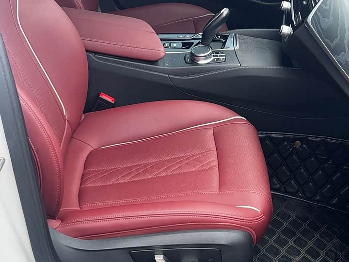 BMW 5 Series Hybrid 2022 2022款 改款二 535Le M运动套装