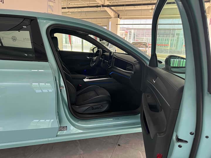 Volkswagen Passat 2025 2025款 Pro 380TSI 星空龙尊版