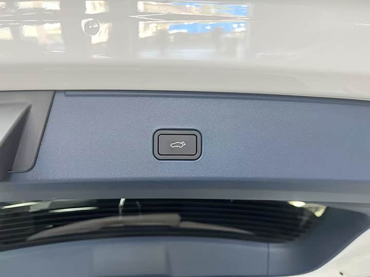 Zeekr Mix 2025 2025款 长续航智驾版