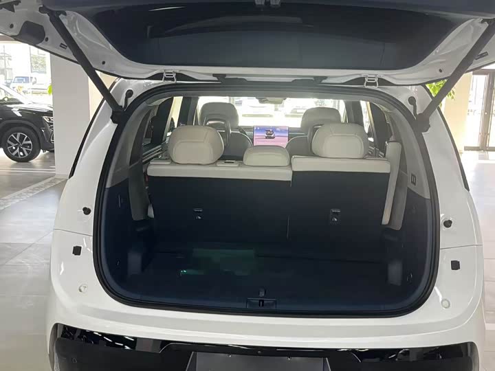 Zeekr Mix 2025 2025款 长续航智驾版