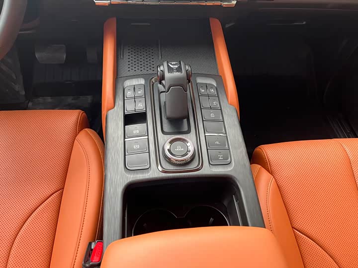 Haval H9 2024 2024款 2.0T 汽油四驱极境版