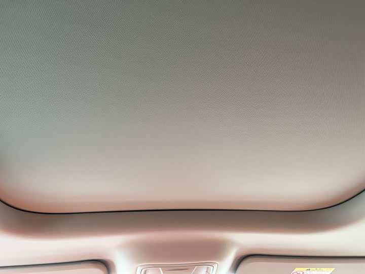 Haval H9 2024 2024款 2.0T 汽油四驱极境版