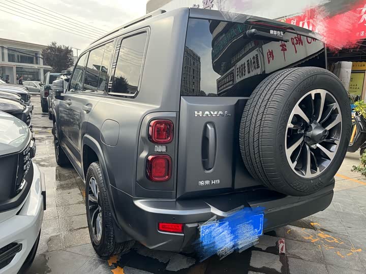 Haval H9 2024 2024款 2.0T 汽油四驱极境版