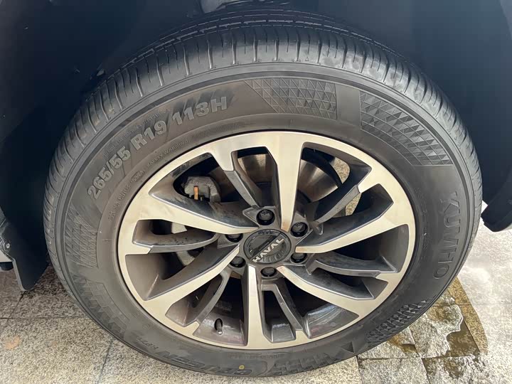 Haval H9 2024 2024款 2.0T 汽油四驱极境版