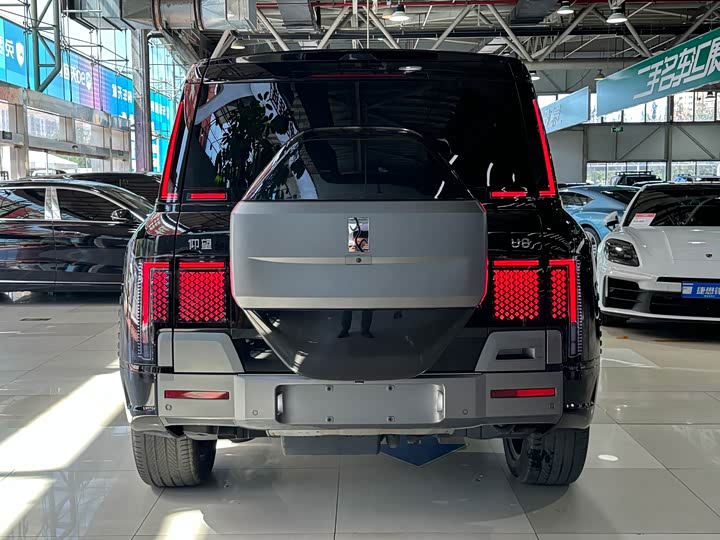 BYD Yangwang U8 2023 2023款 豪华版