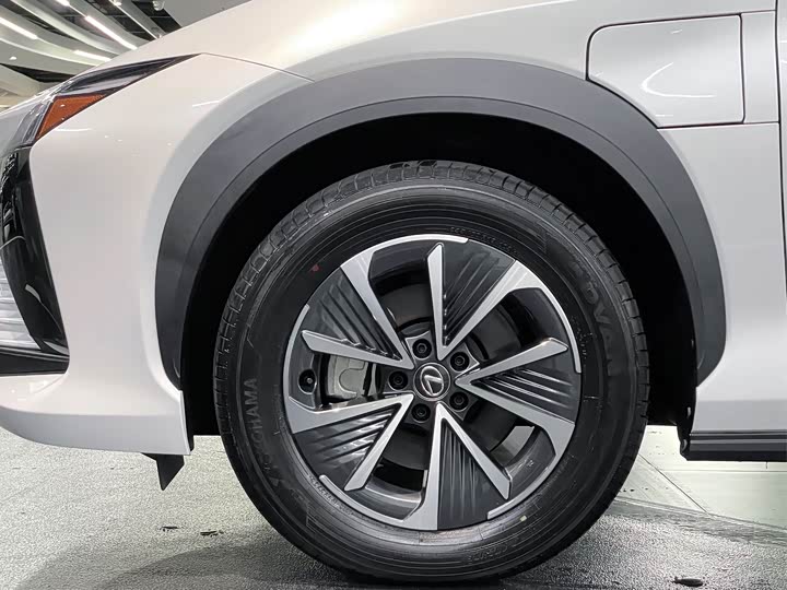 Lexus RZ 2023 2023款 450e 四驱纵享版