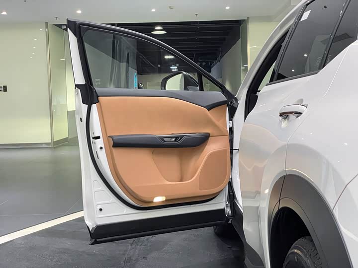 Lexus RZ 2023 2023款 450e 四驱纵享版