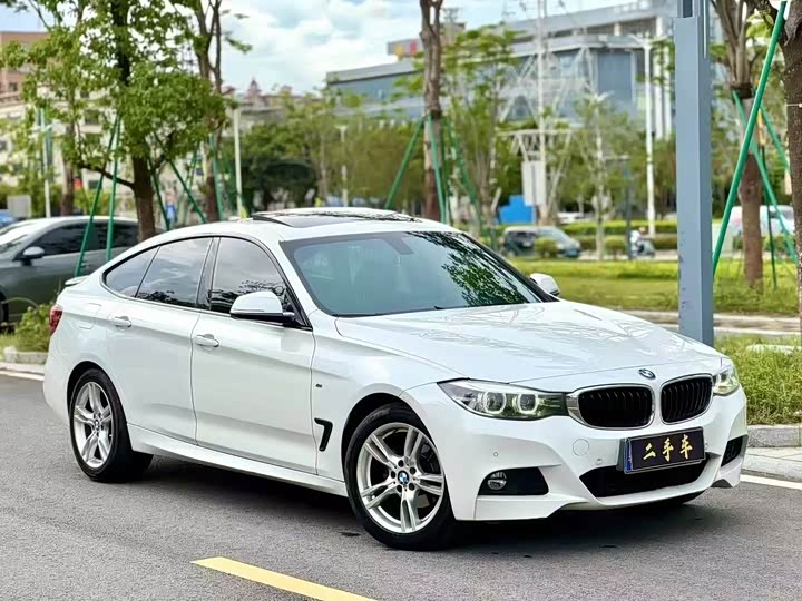 BMW 3 Series GT 2020 2020款 320i M运动套装