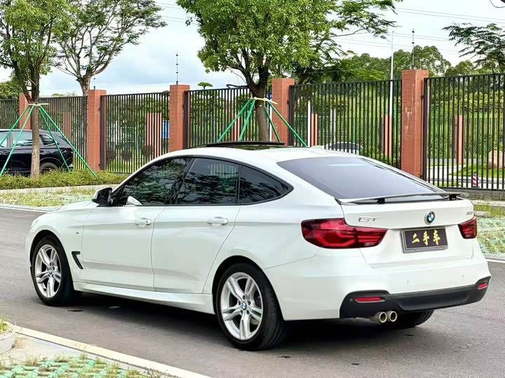 BMW 3 Series GT 2020 2020款 320i M运动套装