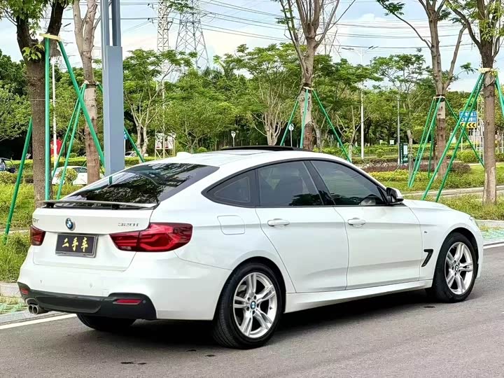 BMW 3 Series GT 2020 2020款 320i M运动套装