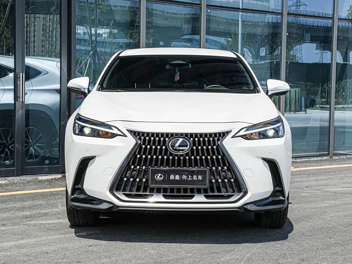 Lexus NX 2023 2023款 260 前驱 创驰版