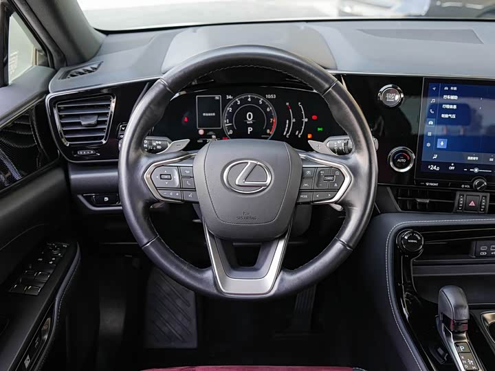 Lexus NX 2023 2023款 260 前驱 创驰版